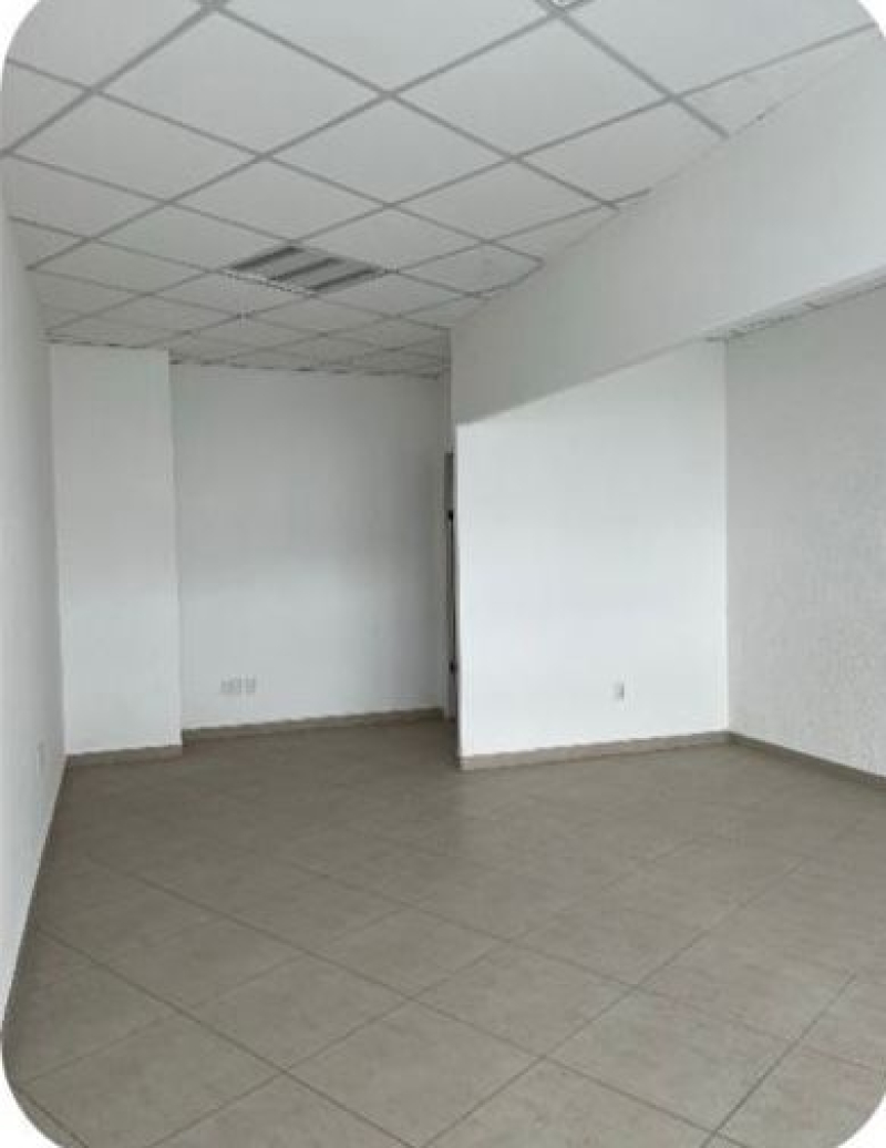 Oficina En Renta En Av.5 De Febrero