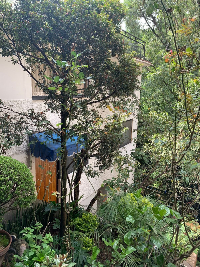 Buen Departamento En Renta En Av. Toluca
