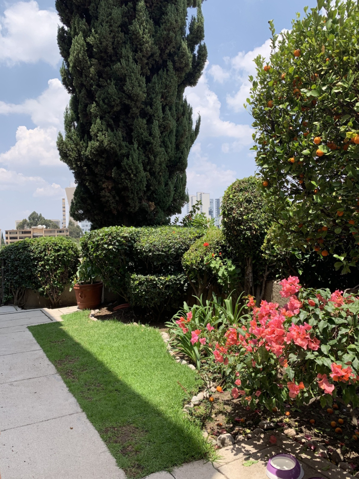 muy buena casa en renta frente al lomas country club