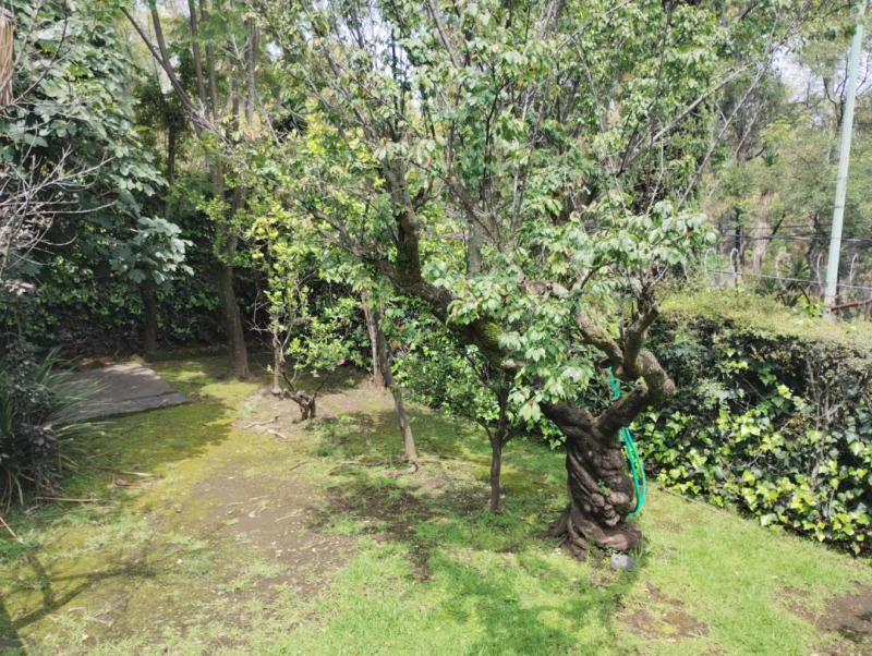 casa en venta en lomas de chapultepec