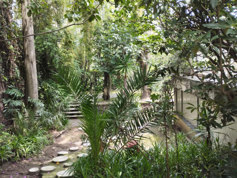 casa en venta en lomas de chapultepec