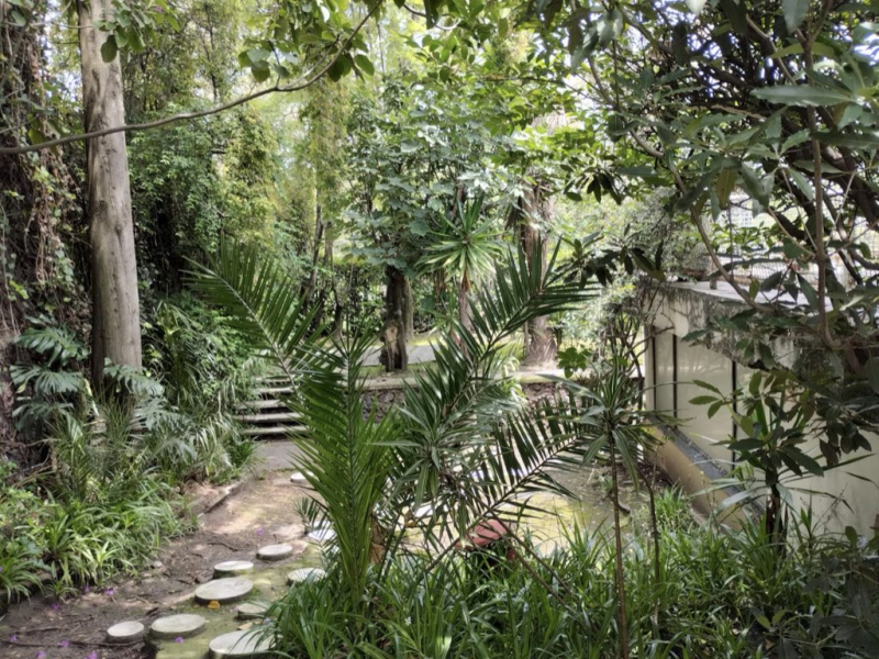 Casa en Venta para Remodelación - Lomas de Chapultepec