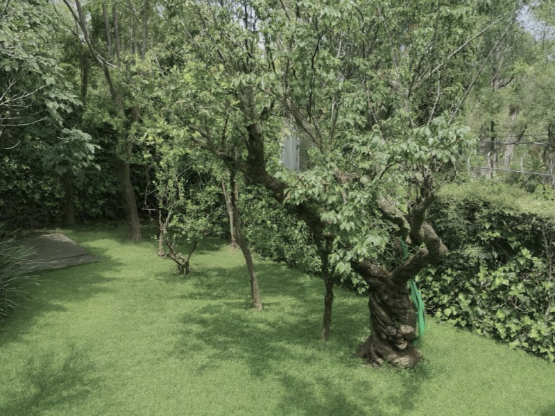 Casa en Venta para Remodelación - Lomas de Chapultepec