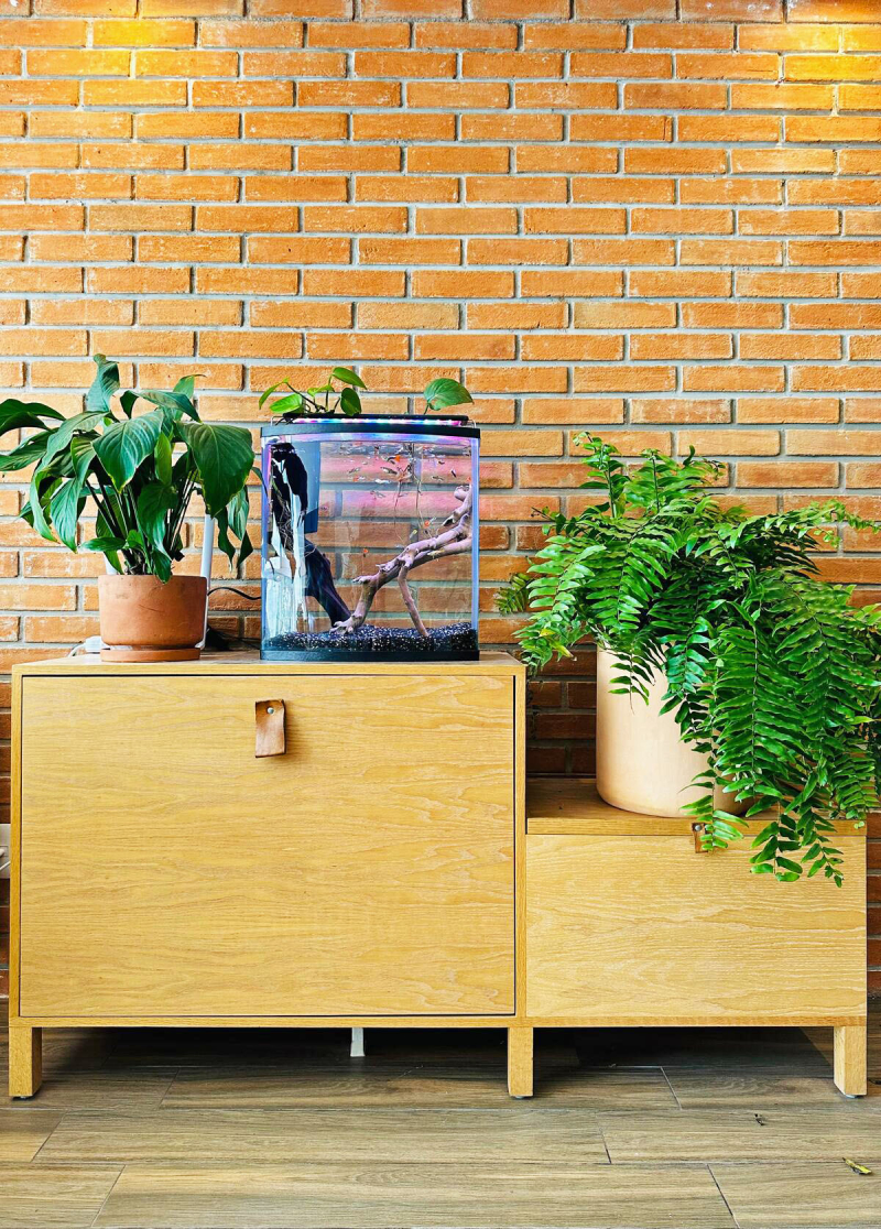 VENTA DEPARTAMENTO, NUEVO LE�?N, CONDESA.