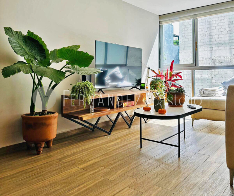 VENTA DEPARTAMENTO, NUEVO LE�?N, CONDESA.
