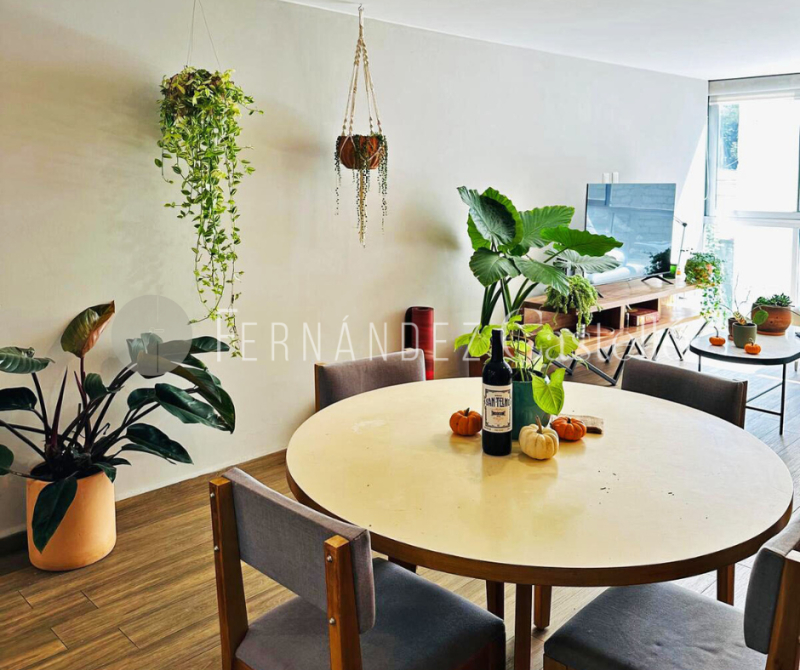 VENTA DEPARTAMENTO, NUEVO LE�?N, CONDESA.
