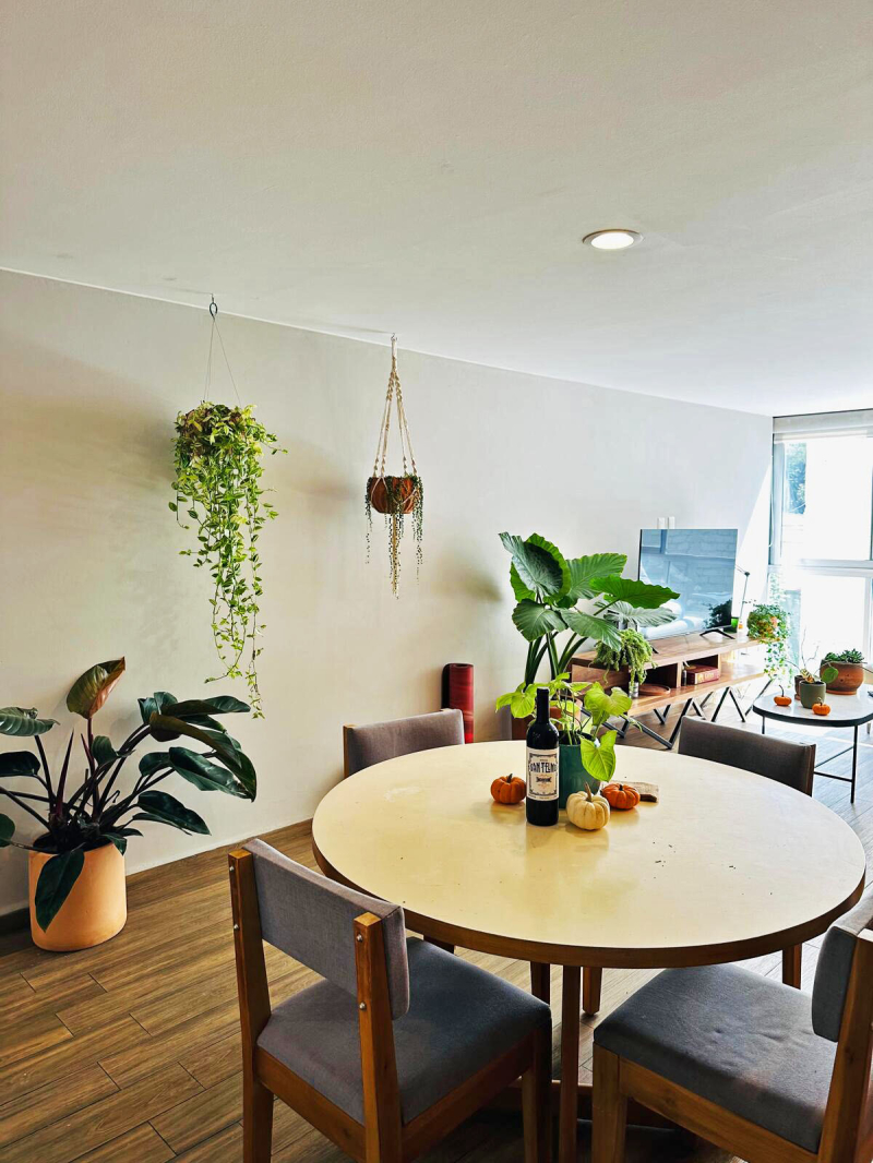 VENTA DEPARTAMENTO, NUEVO LE�?N, CONDESA.