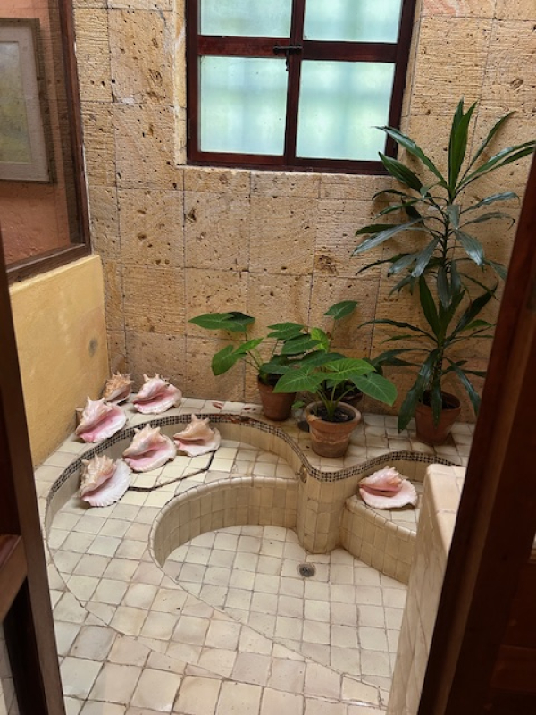 Casa En Venta En Nepantla De Sor Juana Inés