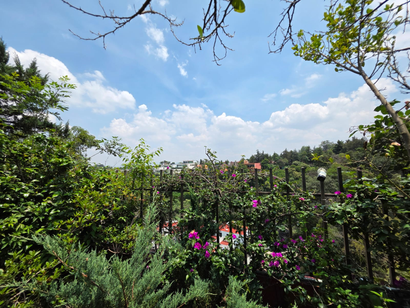 Casa En Venta En Bosques De Las Lomas