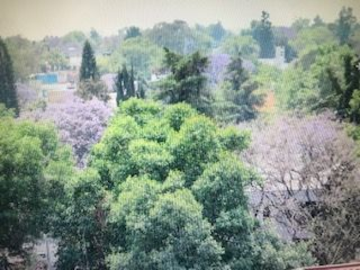 venta de departamento (pent house) en lomas de chapultepec, andes. penthouse venta $26,000,000mn
