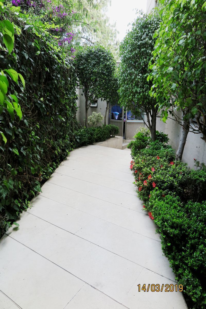 venta de departamento (pent house) en lomas de chapultepec, andes. penthouse venta $26,000,000mn