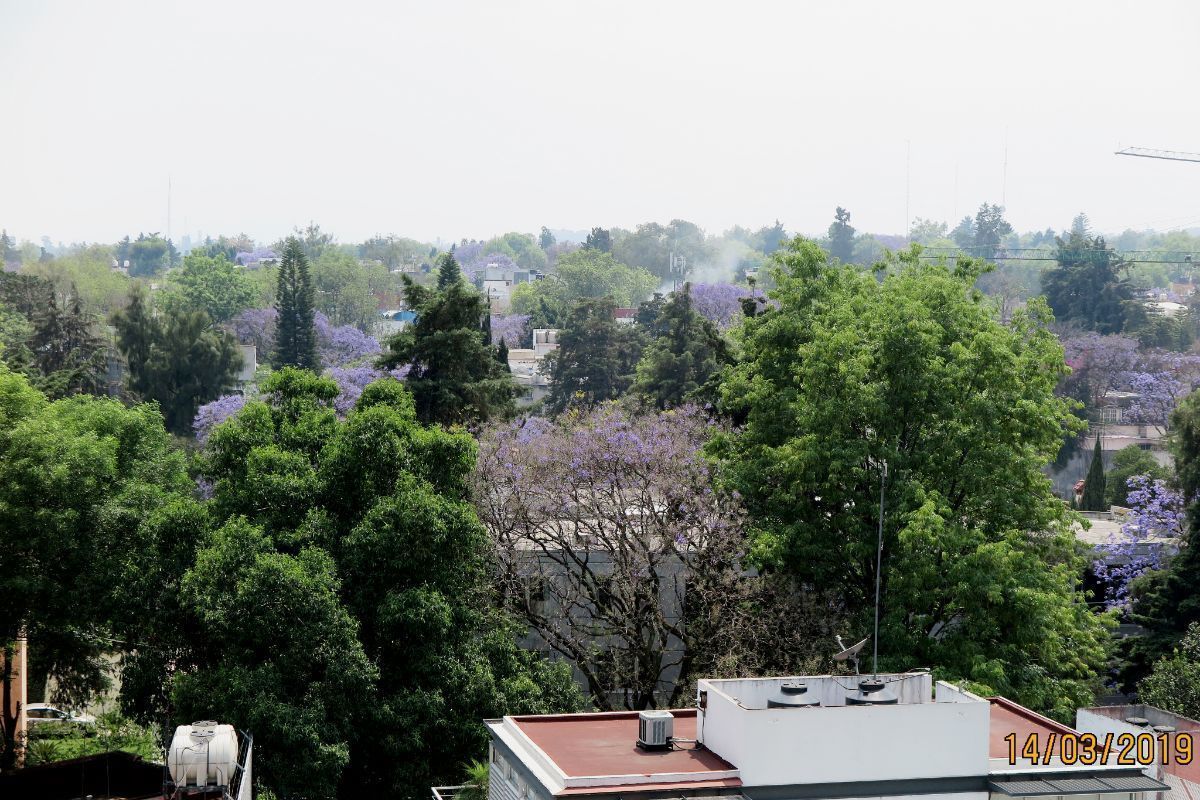 venta de departamento (pent house) en lomas de chapultepec, andes. penthouse venta $26,000,000mn