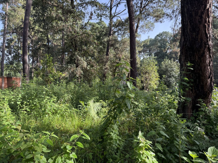 terreno en cerro gordo