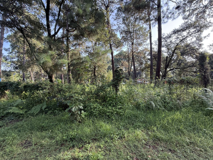 terreno en cerro gordo
