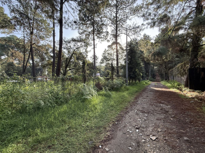 terreno en cerro gordo
