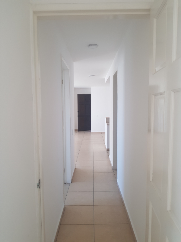 renta departamento en palo solo con elevador