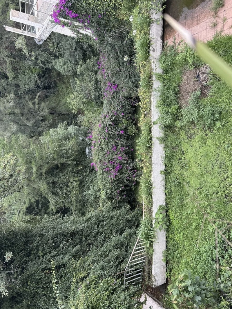 casa en venta en bosque del comendador 