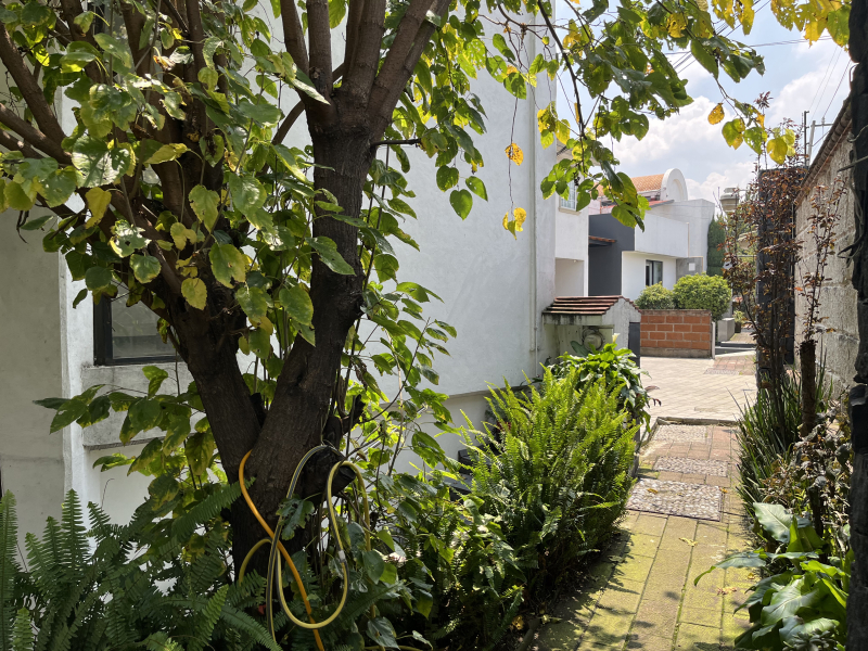 Casa En Condominio En Venta En Bosques De Tarango