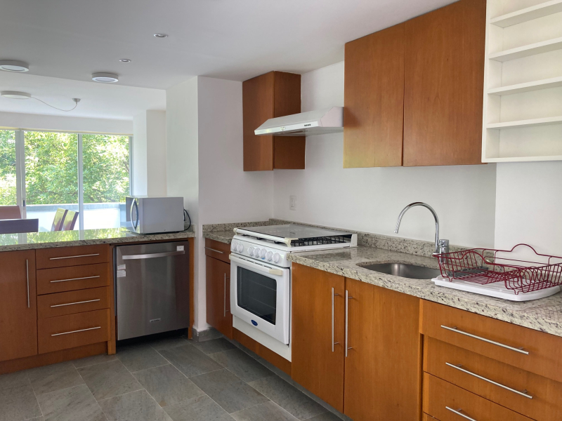 departamento en renta en polanco