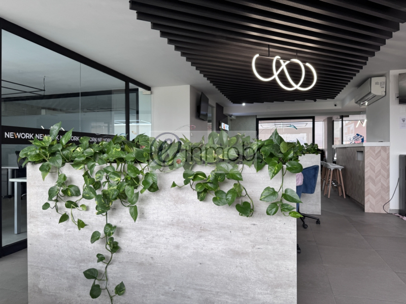 Oficina En Renta En Polanco