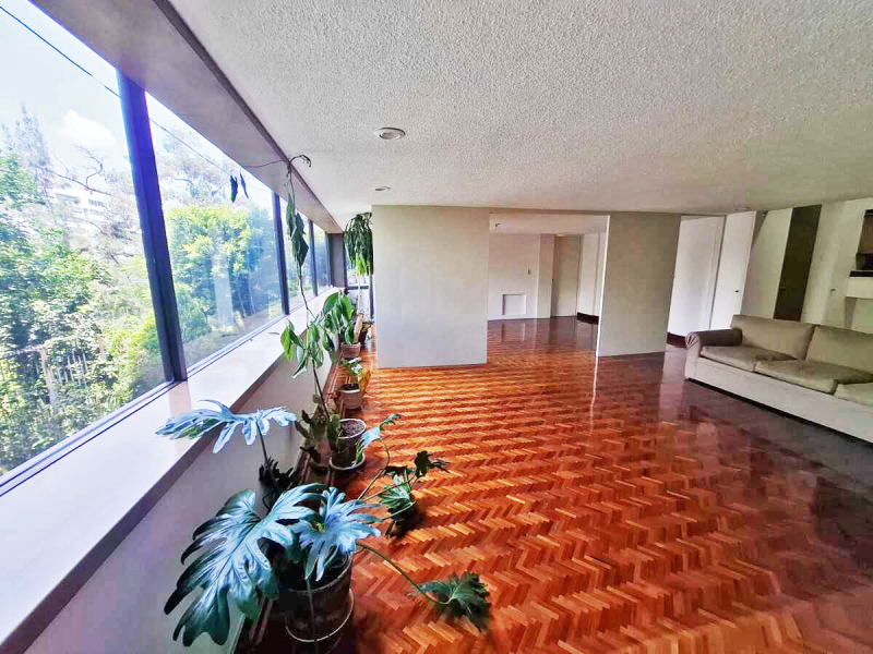 renta departamento, cofre de perote, lomas chapultepec