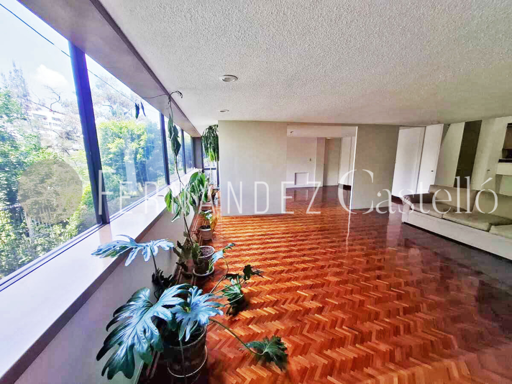 RENTA DEPARTAMENTO, COFRE DE PEROTE, LOMAS CHAPULTEPEC
