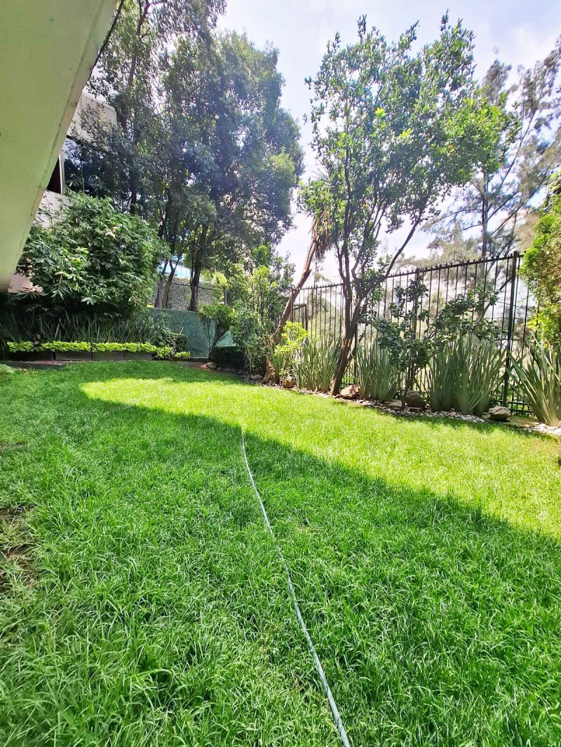 renta departamento, cofre de perote, lomas chapultepec