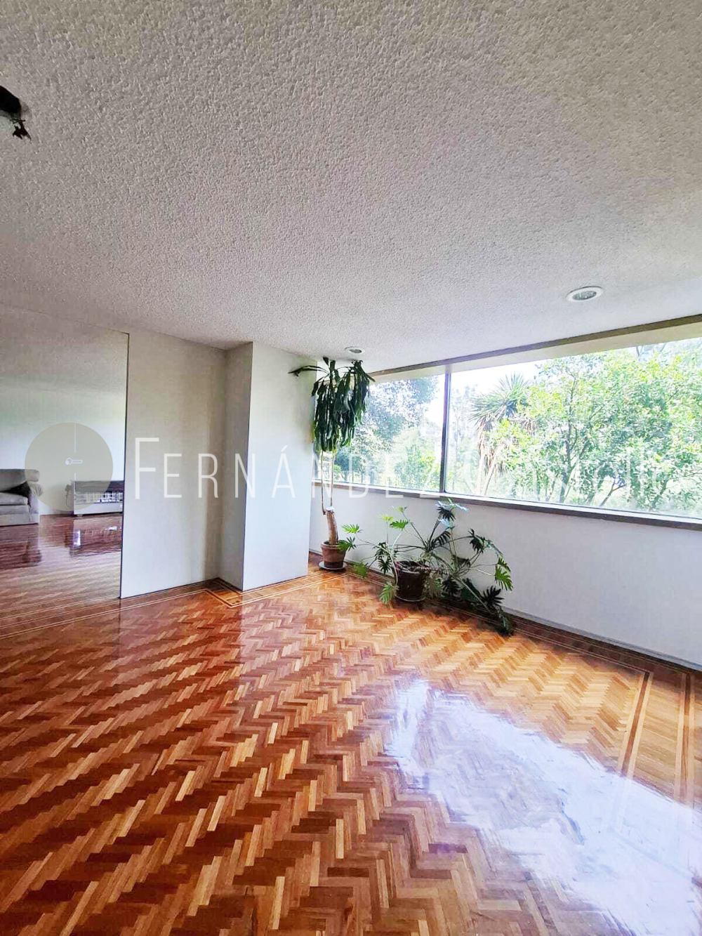 RENTA DEPARTAMENTO, COFRE DE PEROTE, LOMAS CHAPULTEPEC