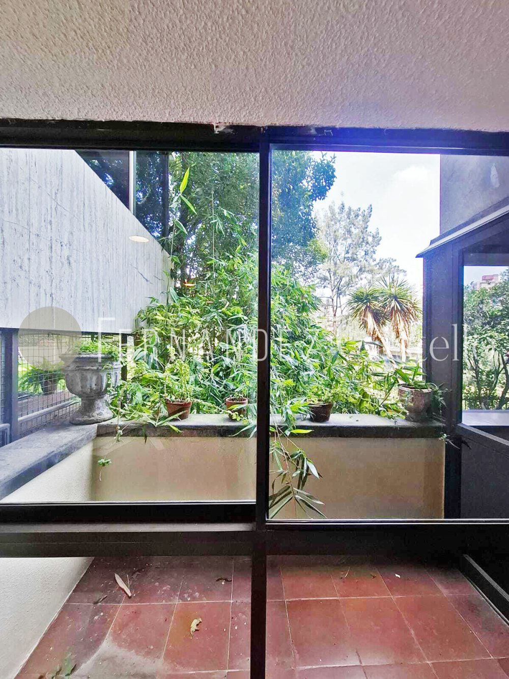 RENTA DEPARTAMENTO, COFRE DE PEROTE, LOMAS CHAPULTEPEC