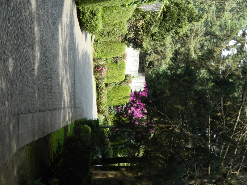 Casa En Cerrada De Rancho San Francisco 
