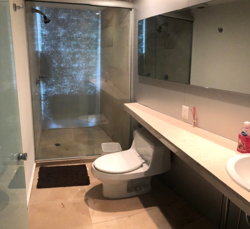 DEPARTAMENTO AMUEBLADO EN RENTA EN SANTA F�? 