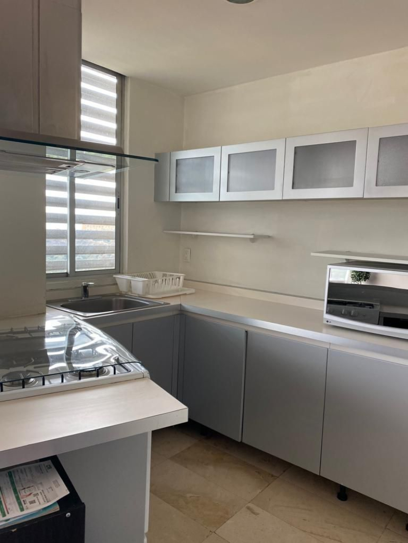 DEPARTAMENTO AMUEBLADO EN RENTA EN SANTA F�? 