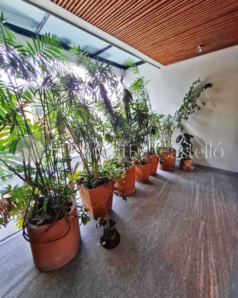 Departamento En Venta En San Miguel Chapultepec