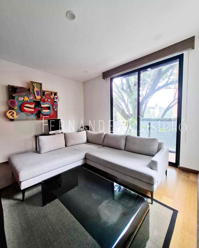 Departamento En Venta En San Miguel Chapultepec