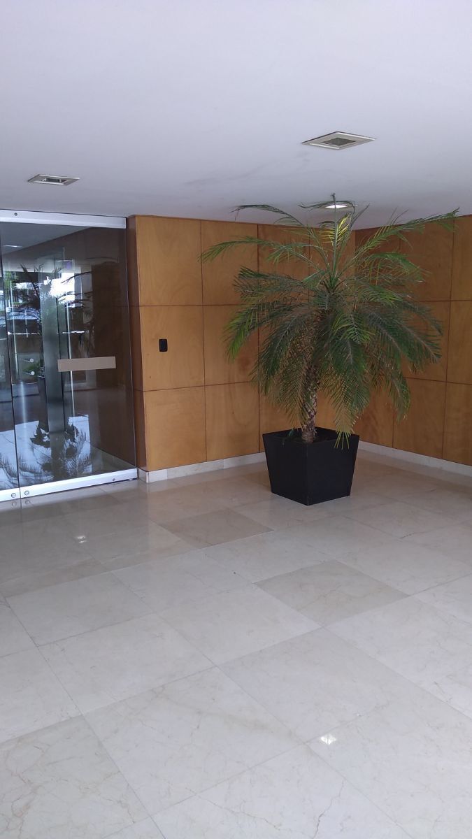 Oficina en renta piso completo en Bosque de Ciruelos, Bosques de las Lomas