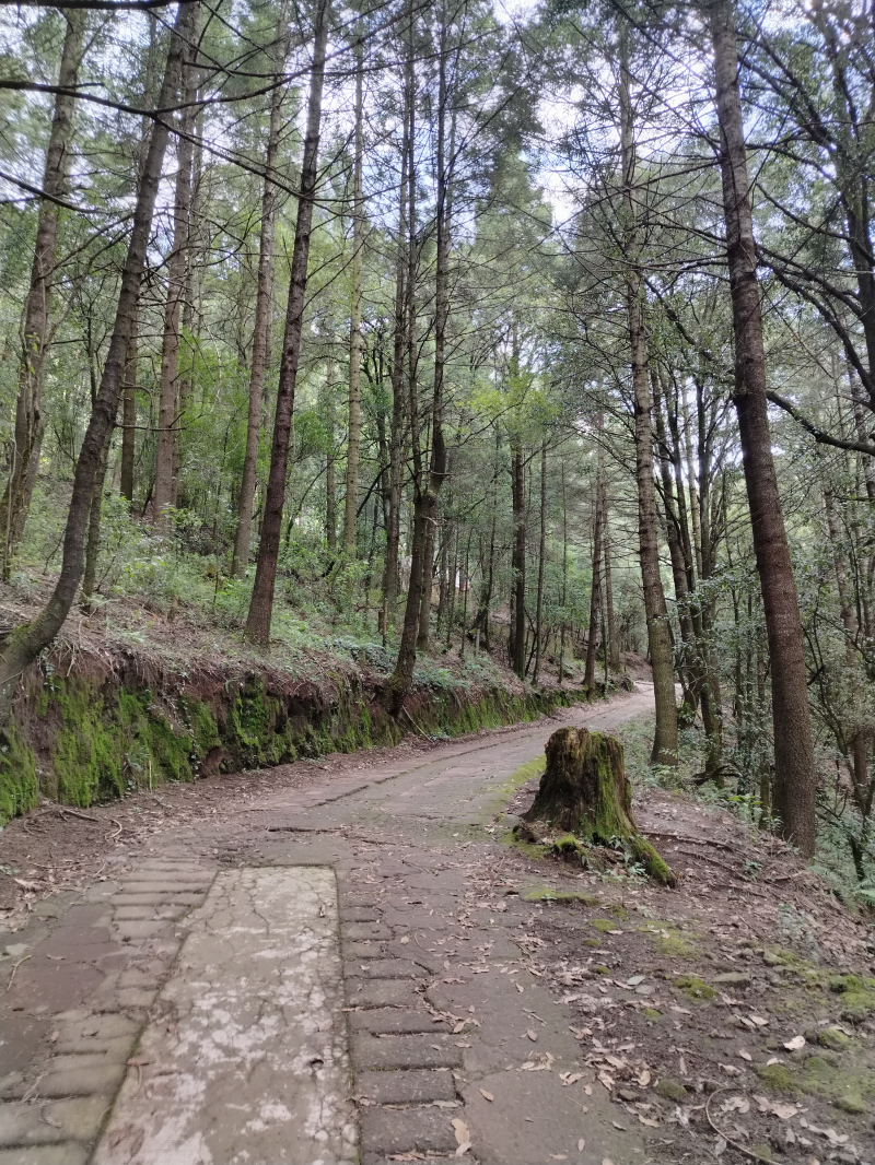 Venta de terrenos en Jilotzingo, estado de México 