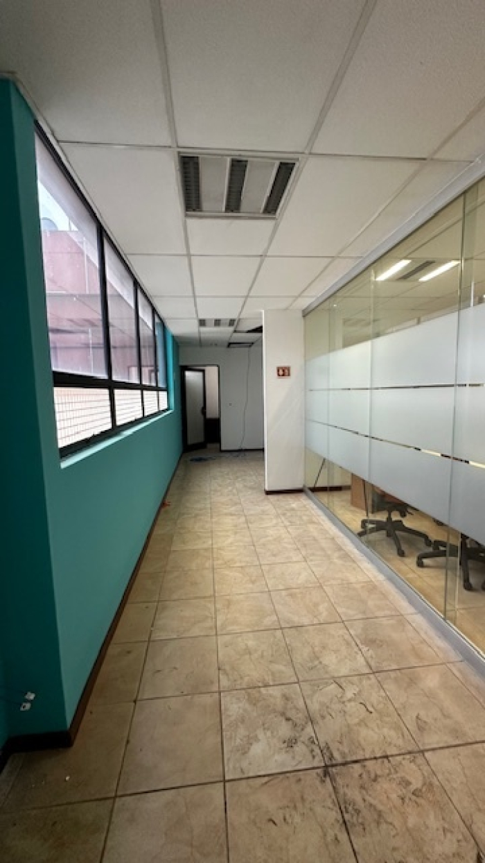 Polanco, Homero, Oficinas Adaptadas Renta $90,000MN