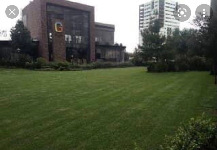 Be Grand Polanco Departamento Amueblado 1 Recamara Renta $33,500MN