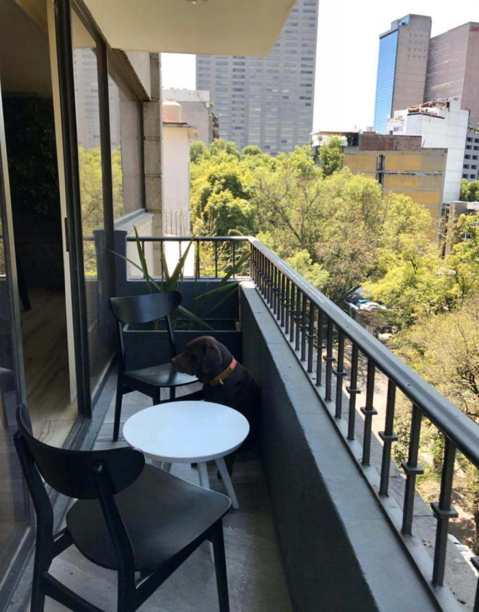 ¿Buscas departamento moderno amueblado en Polanco?