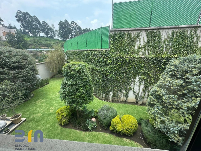 casa en renta lomas country club