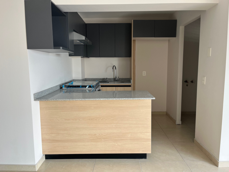 Departamento En Renta En Obrera