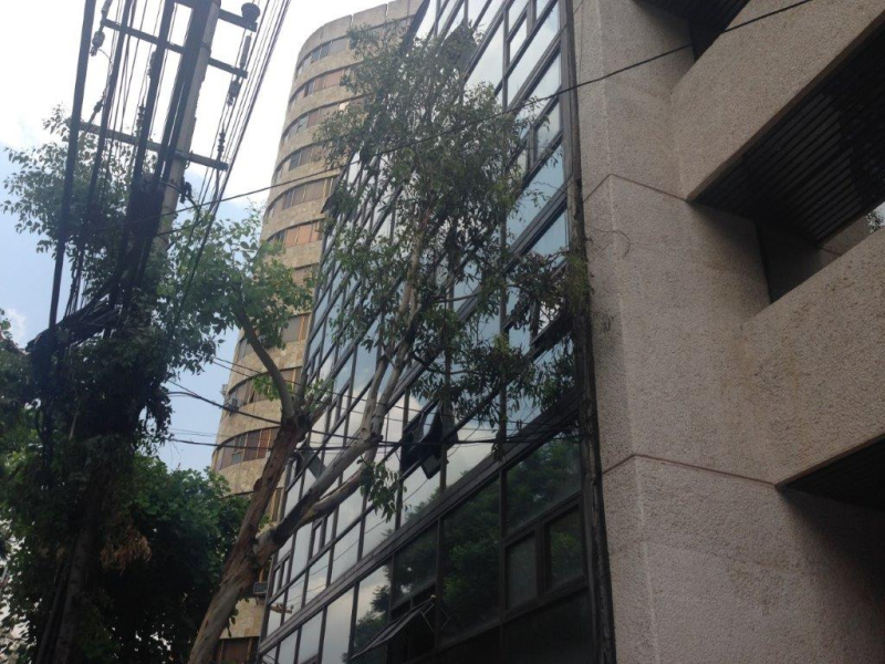 Oficina En Renta Ejercito Nacional 100 M2 Cerca Del Metro
