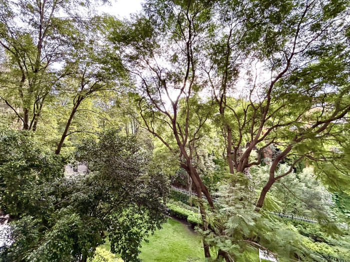 Departamento Con Terraza En Venta En Lomas De Chapultepec .