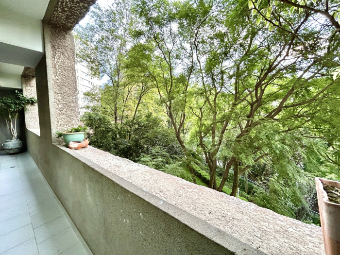 Departamento Con Terraza En Venta En Lomas De Chapultepec .
