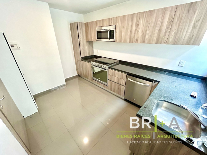 Renta De PH Con Terraza En Polanco