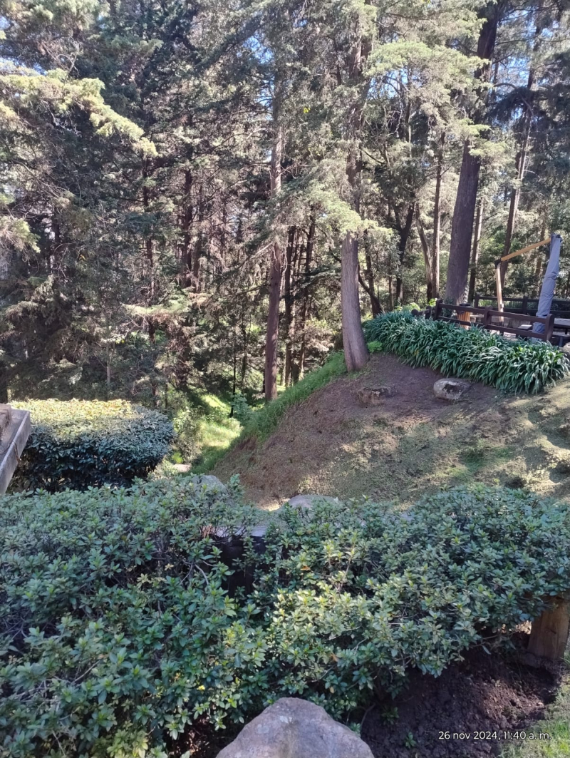 Venta de departamento en Bosque 6060