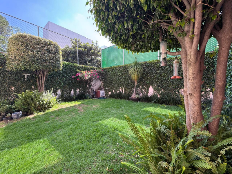 Casa en renta en Colonia del Valle Centro, ubicada en una calle cerrada