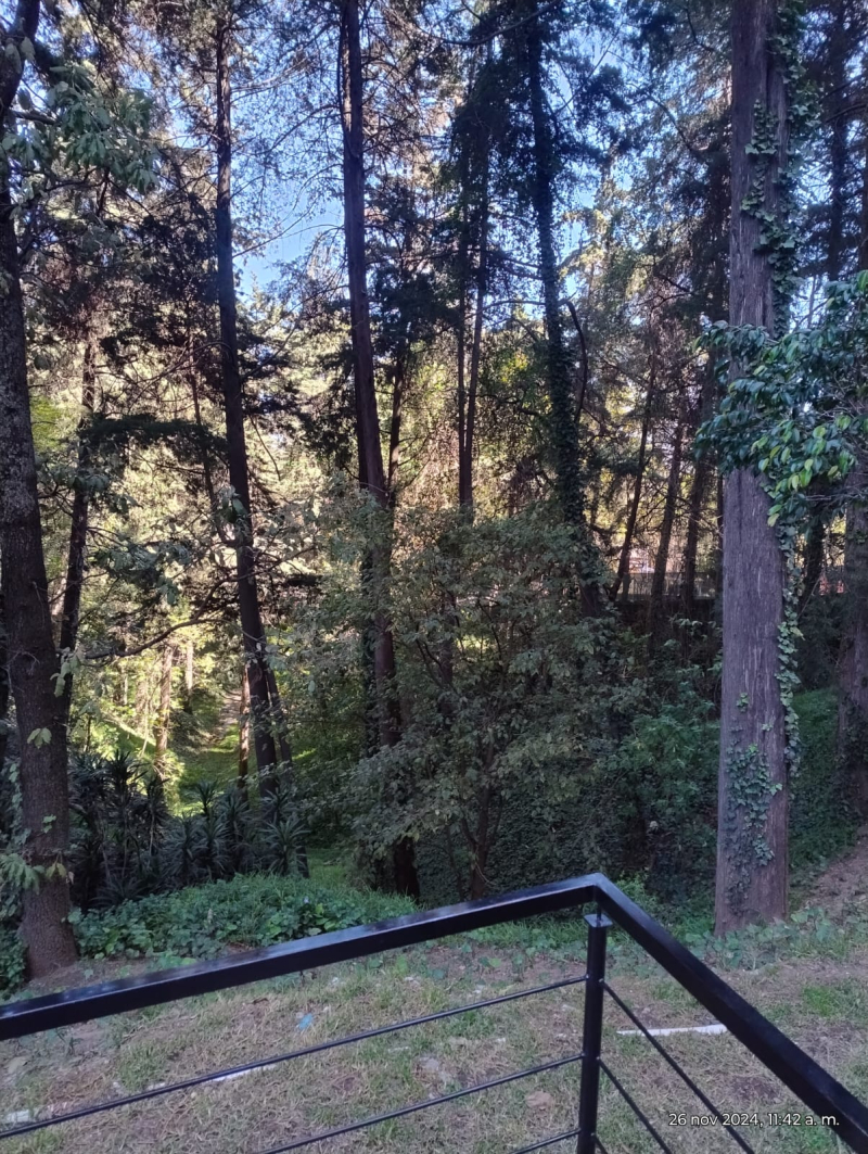 Departamento En Renta En San  Bartolo  Ameyalco