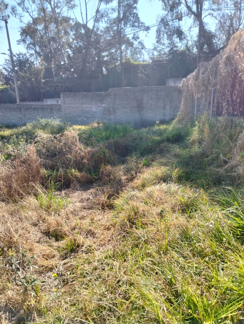 Terreno En Venta En San Bartolo Ameyalco