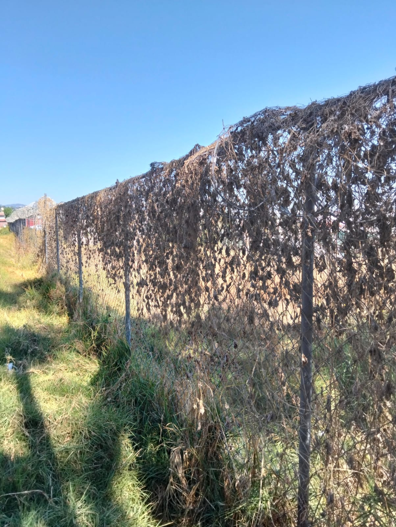 Terreno En Venta En San Bartolo Ameyalco